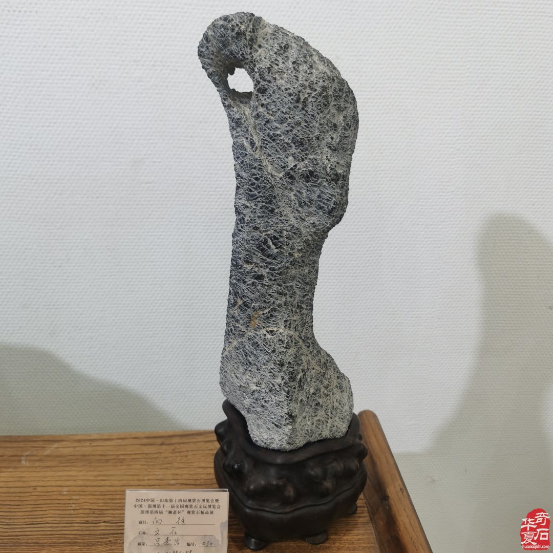 山東淄博觀賞石文玩博覽會精品展作品欣賞