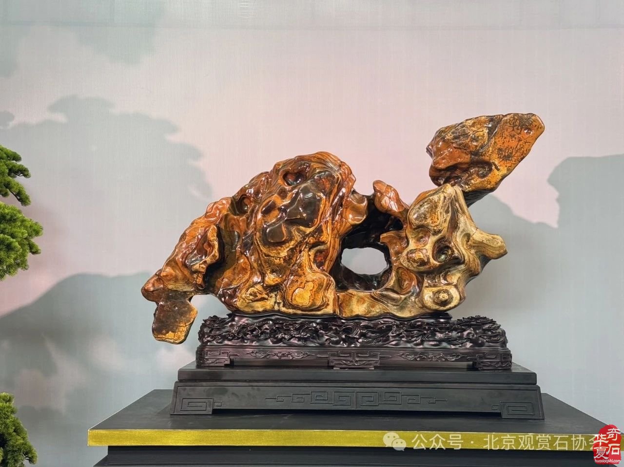 2024中國·灣區陳村名石藝術展“石魂”獎金獎欣賞