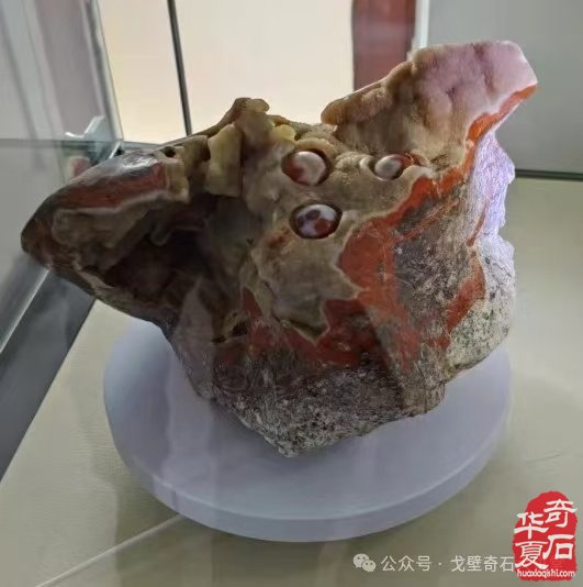 北票戰國紅博物館獲省文物局設立備案