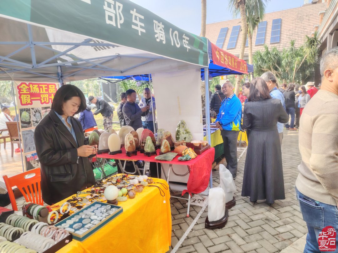 海峽兩岸（海南）首屆觀賞石精品展隆重開幕