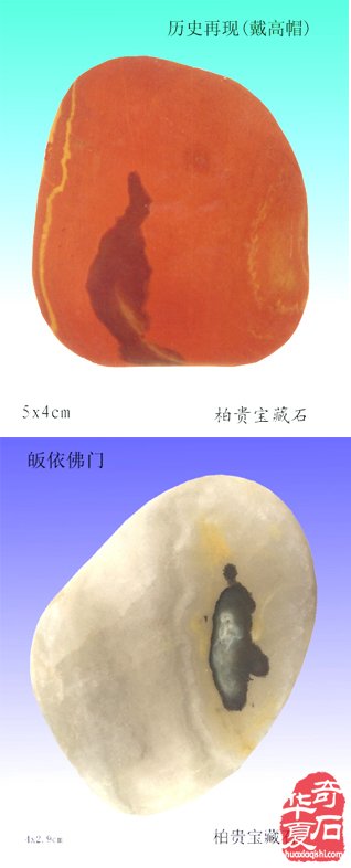 石中人物展風采，閃亮登場祝新年