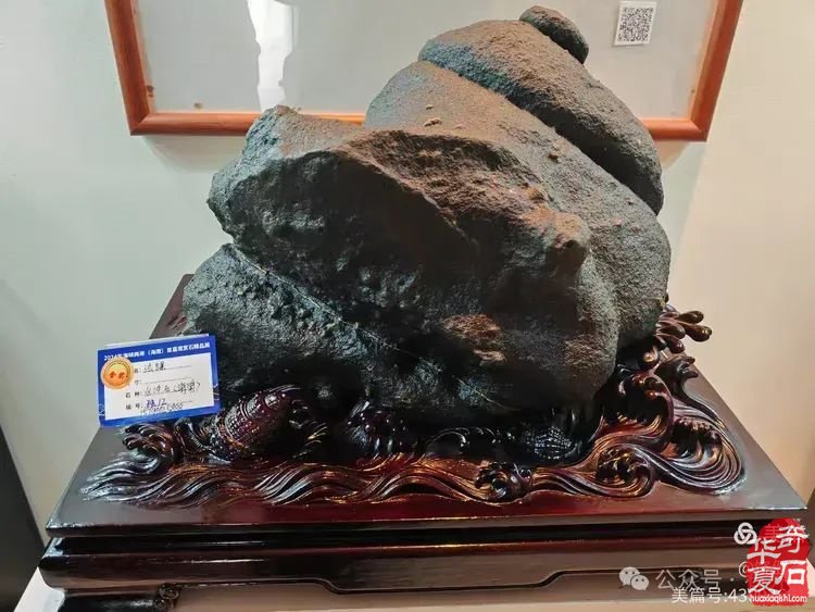 昌江縣觀賞石協會組團海峽兩岸（海南）首屆觀賞石展 斬獲佳績