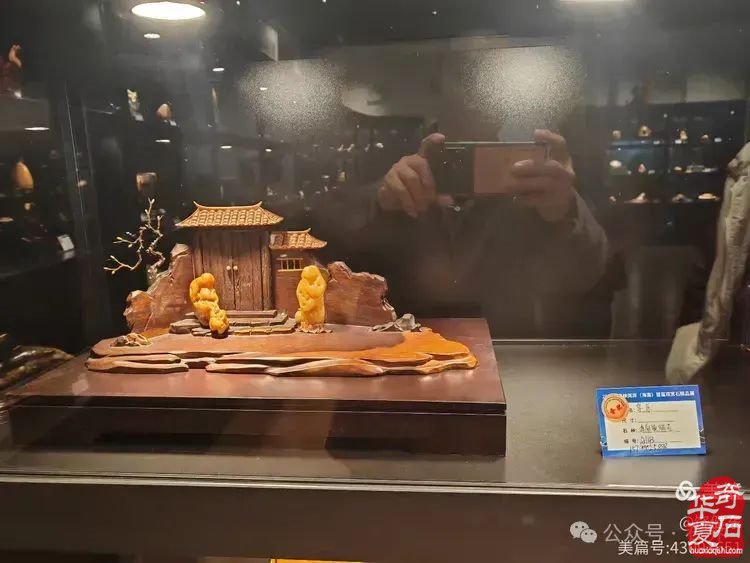 昌江縣觀賞石協會組團海峽兩岸（海南）首屆觀賞石展 斬獲佳績