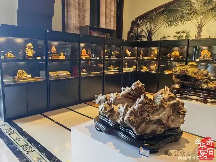 昌江縣觀賞石協會組團海峽兩岸（海南）首屆觀賞石展 斬獲佳績