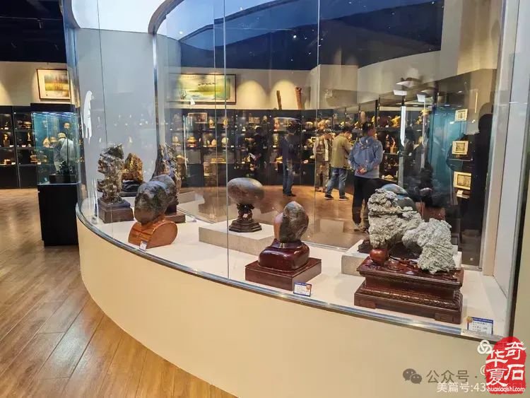 昌江縣觀賞石協會組團海峽兩岸（海南）首屆觀賞石展 斬獲佳績