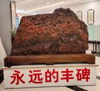 “雅石頌黨”主題展覽獲得圓滿成功