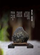 聽名家論述了解各地展會就上《于公賞石》