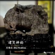 《寸升說事》名士陳紹衛與名石“通靈禪韻”