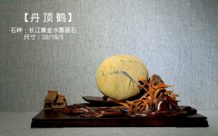 長江奇石專輯---《鶴》 與君共品