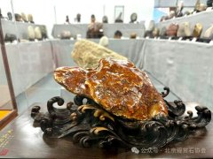 到洛陽奇石古玩文化城看大型石展賞精品美石