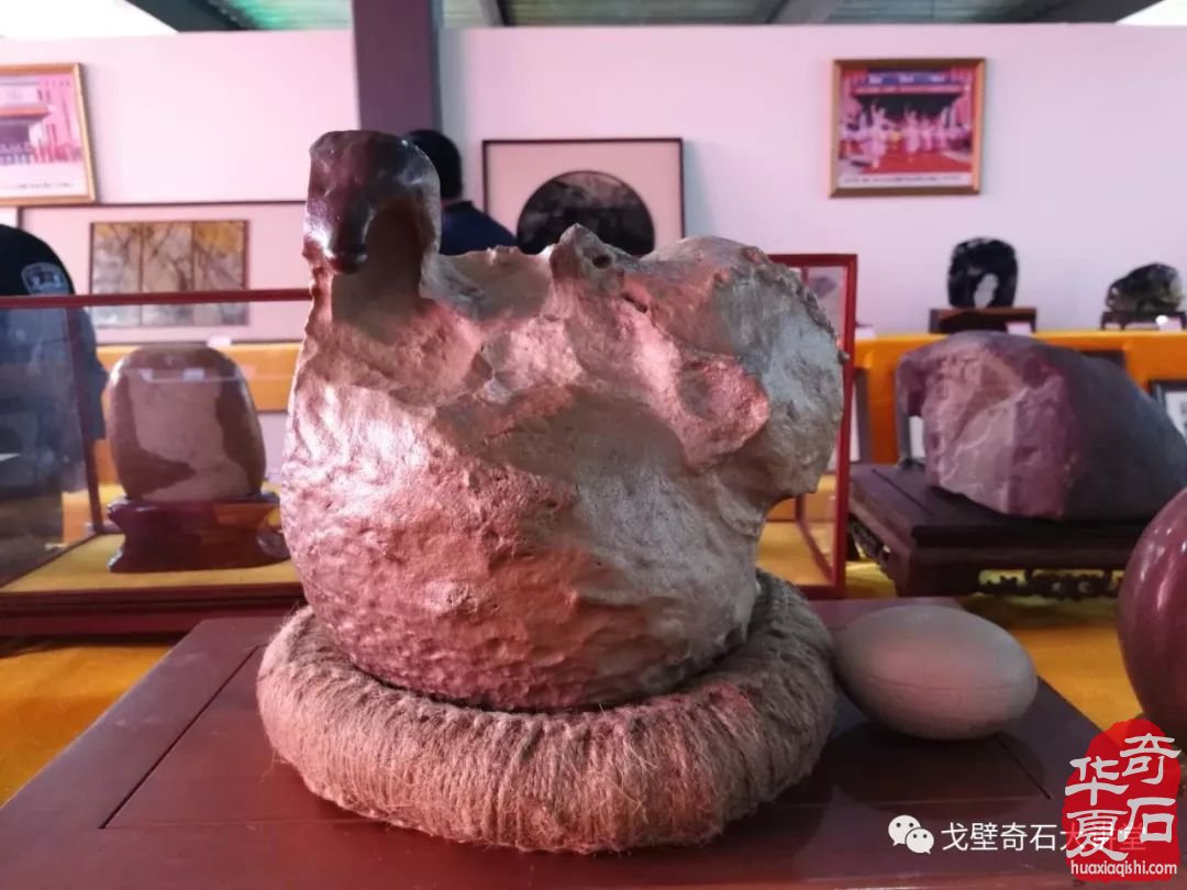 洛陽石展畫面石領跑精品廳 寬甸玉樹石異軍突起