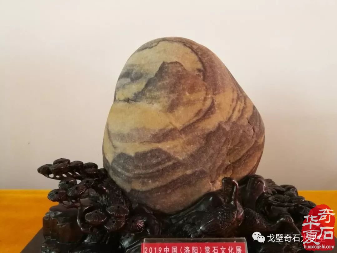 洛陽石展畫面石領跑精品廳 寬甸玉樹石異軍突起